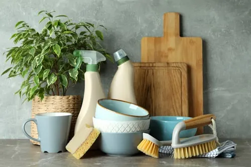 Why We Clean With Eco-Friendly, Pet-Safe Products