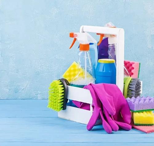 Recurring Cleaning