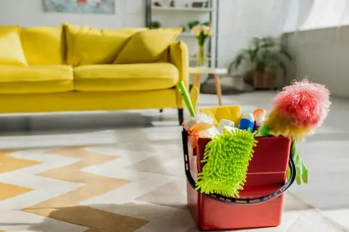 Standard Cleaning